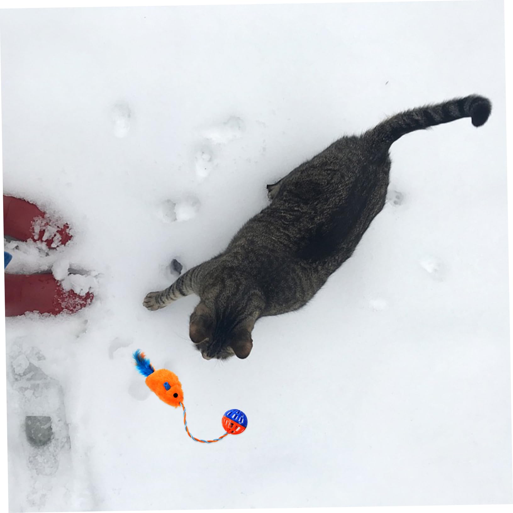 ifundom Jouet Souris pour Chaton en Peluche et Plastique avec Cloche Sonore, Jouet Interactif D'intérieur pour Divertissement et Exercice, Résistant aux Morsures