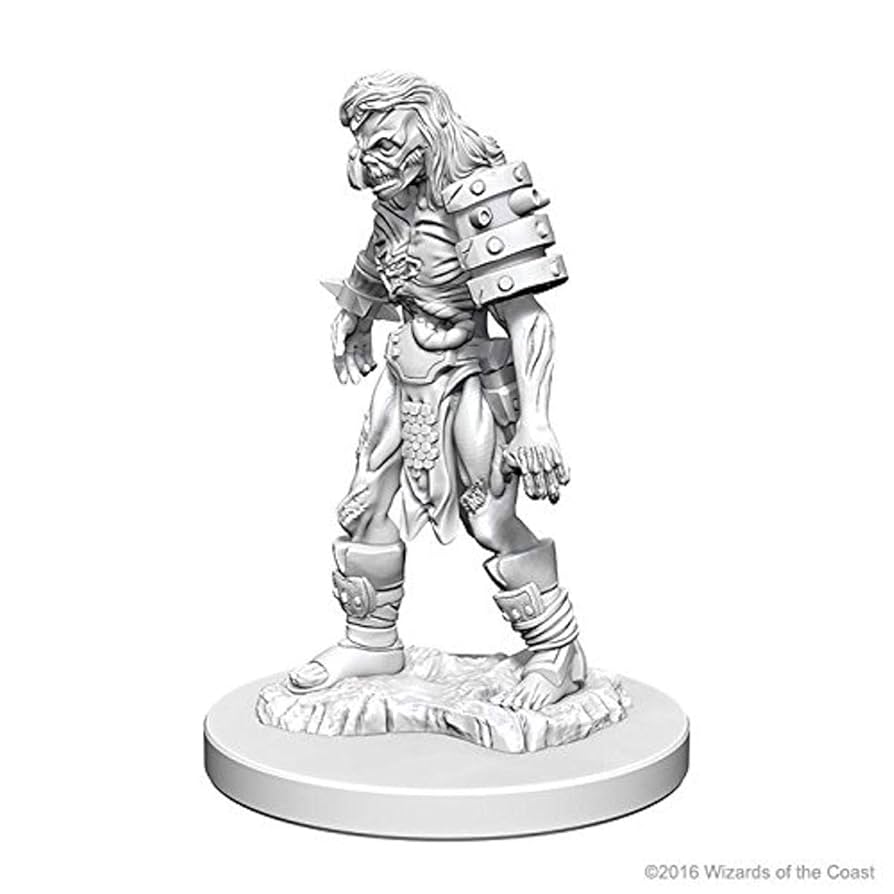 marvelous Amazon.com: D&D Nolzur's Marvelous Miniatures - Male Human