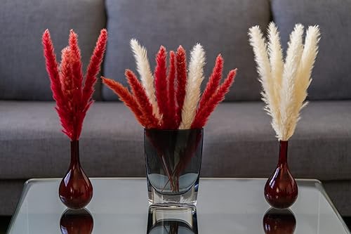 Hierba natural de las pampas para decoración del hogar, 15 tallos completos y esponjosos, hierbas reales altas de 15.7 in para decoración de sala de
