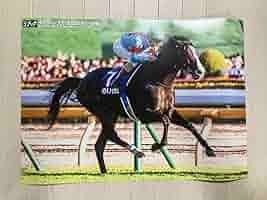天皇賞（秋）イクイノックスポスター イクイノックス 両面ポスター 優駿 付録 名馬の肖像 天皇賞（秋