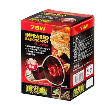 井戸川 Exo TERRA DAYLIGHT BASKIN 150W 6個 井戸川 Exo TERRA