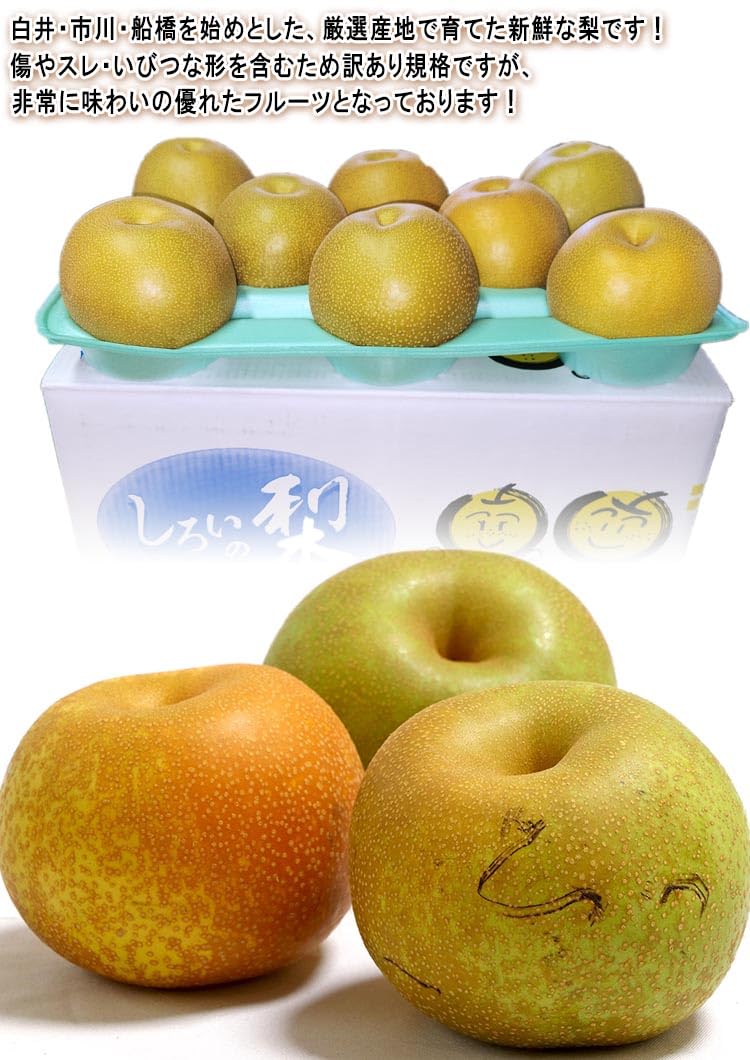 Amazon.co.jp: 千葉梨 豊水 (ほうすい) 約10kg 7～14玉 大玉限定 訳