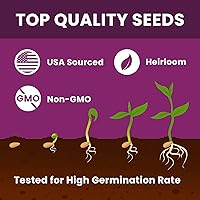 Vista 7 de 20000+pcs Semillas de tomillo rastrero para plantar – Flores de cobertura de suelo sin transgénicos – 10g Semillas de hierbas comestibles