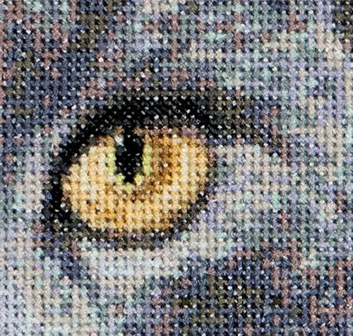 Thea Gouverneur Cats Jack + Luna On Aida Cross Stitch Kit-6.75 x 4.75-inch 16 Count (Set of 2), Brown, 6.75" x 4.75" - Image 3