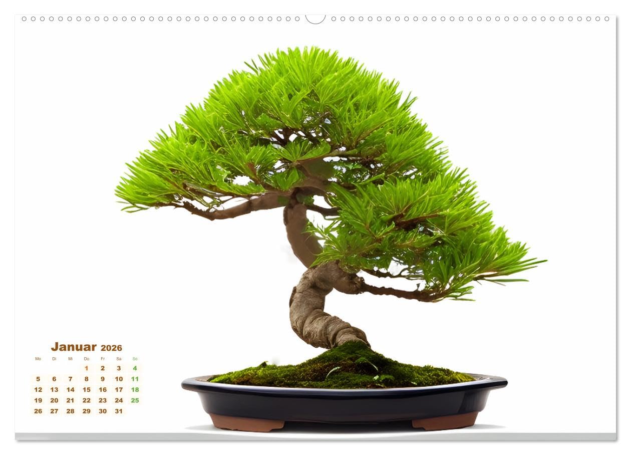 Täuschend echt KI-Bonsais (hochwertiger Premium Wandkalender 2026 DIN A2 quer), Kunstdruck in Hochglanz: Bonsaibäume stellen ursprünglich eine ... und Kunstform dar. (CALVENDO Natur)