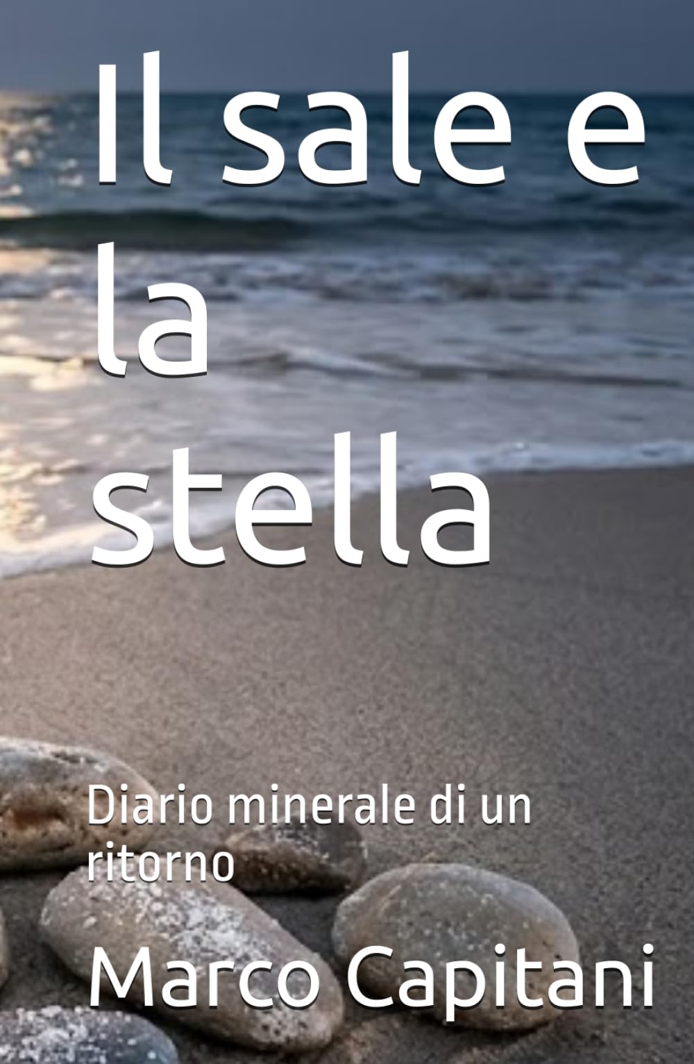 Il sale e la stella: Diario minerale di un ritorno (un poeta del nuovo millennio)