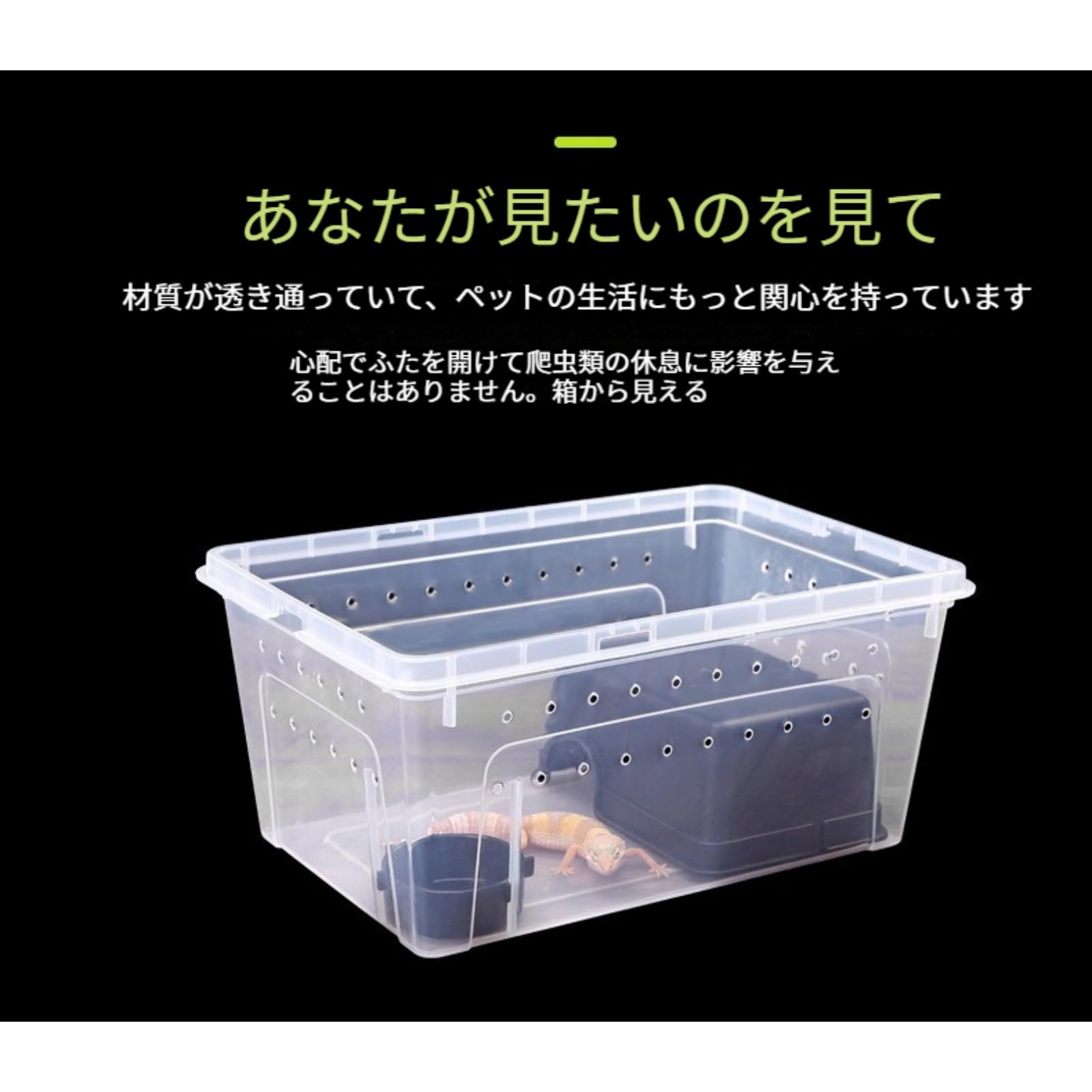 Amazon | クワガタカブトムシ 飼育ケース プロ仕様 産卵用 幼虫飼育