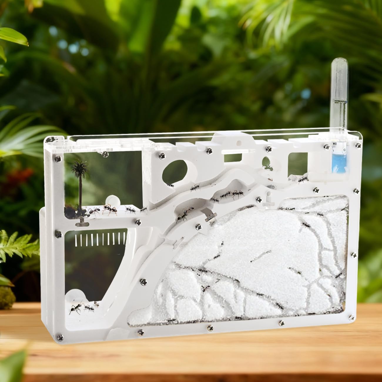 Ant Farm Castle Ant Farm Kit for Kids, Ant Habitat Science Learning Kit, Ant Farms for Live Ants, Ant Colony Educational Toy Kit for Kids