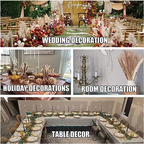 Dried Pampas Grass Decor 107 pcs Boho Home Decor miniatura 6