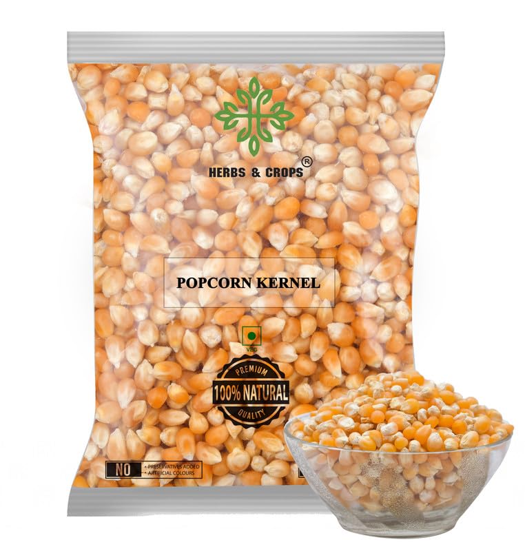 Herbs & Crops Natural Popcorn Kernels, (Ready to Pop, Makes Delicious and Crunchy pop Corn, Enjoy with Our Range of seasonings, Product of India, Ready to pop Butterfly Popcorn), 500 Grams