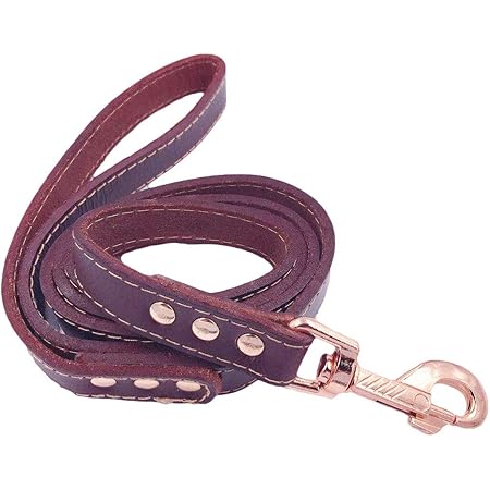 4ft leather dog leash