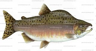 1/8 ~ Pink Salmon Fish Birthday ~ Edible Cake/Cupcake Topper!!!
