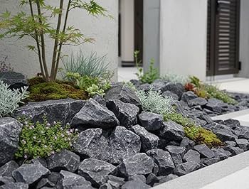 Amazon.co.jp: ロックガーデン 石 庭石 割栗石 黒 ブラック 割り栗石