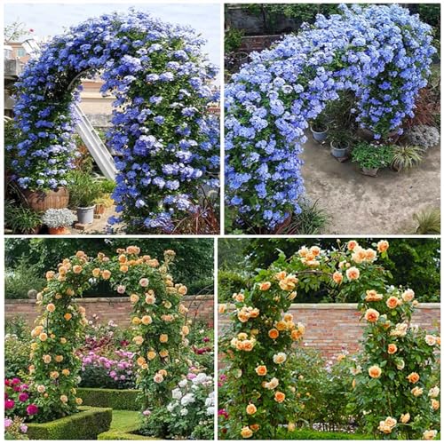 Arche de jardin en métal avec base stable, support noir résistant aux fleurs - 5