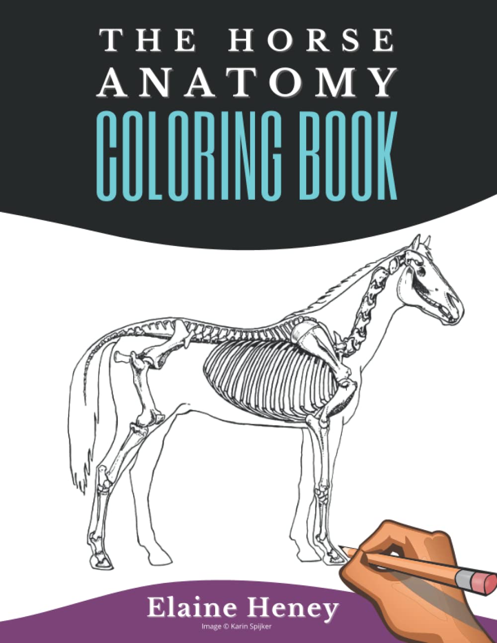 Horse Anatomy Coloring Book For Adults - Self Assessment Equine Coloring Workbook: Test Your Knowledge - For Equestrians & Veterinary Students