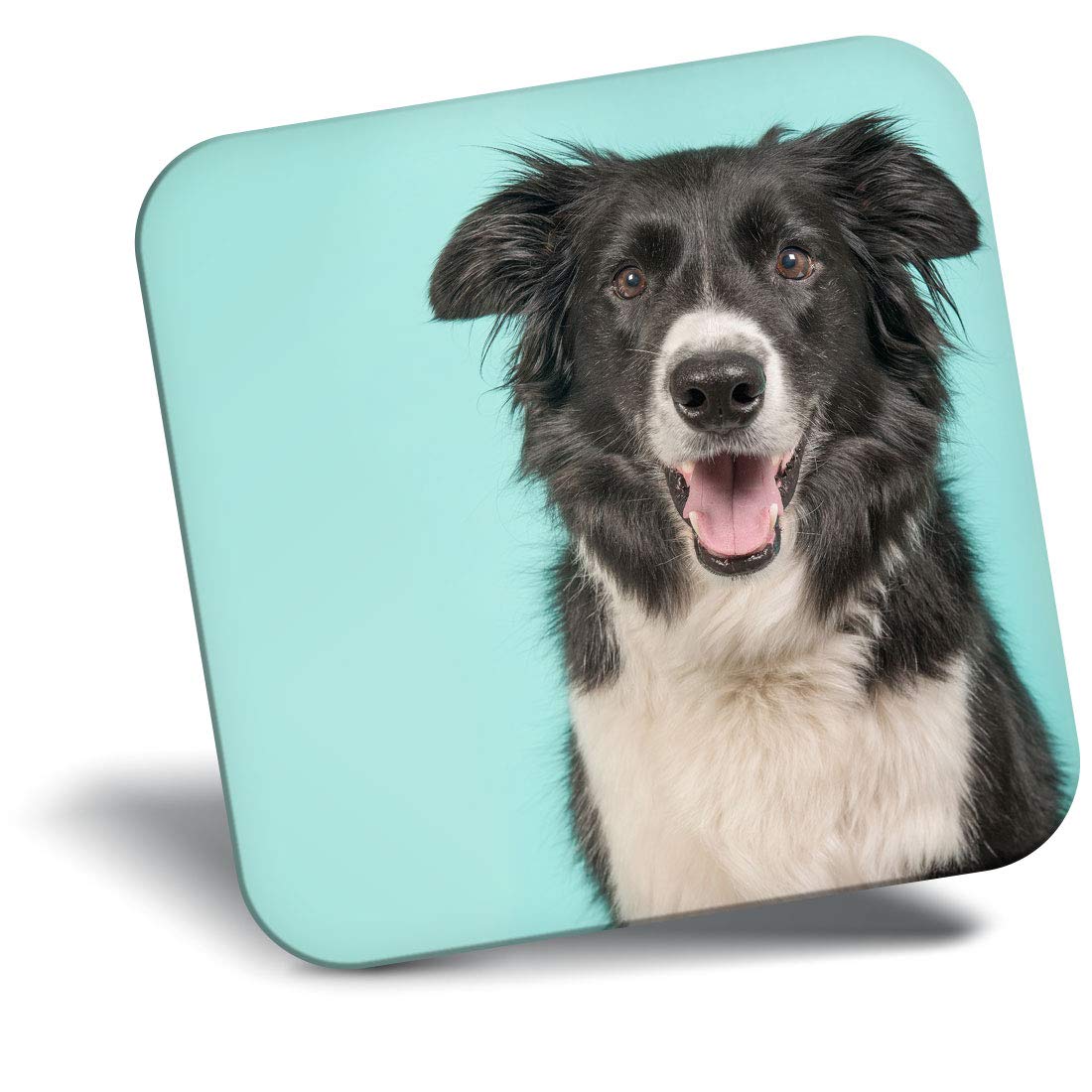 Destination Vinyl Ltd Fridge Magnet - Border Collie Dog Pet Farmer 21276