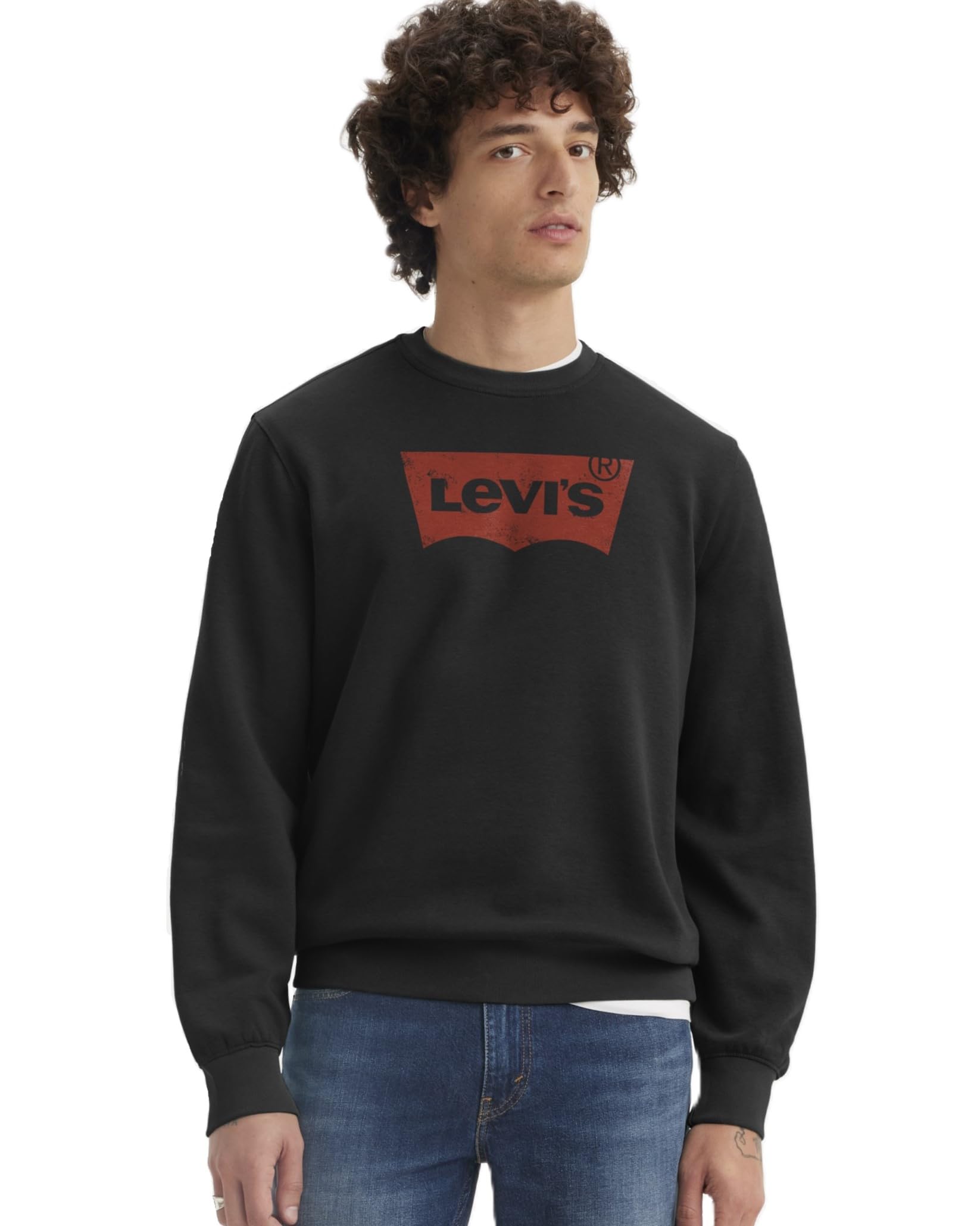 Levi's(リーバイス) スウェットバットウイングロゴ 長袖メンズ