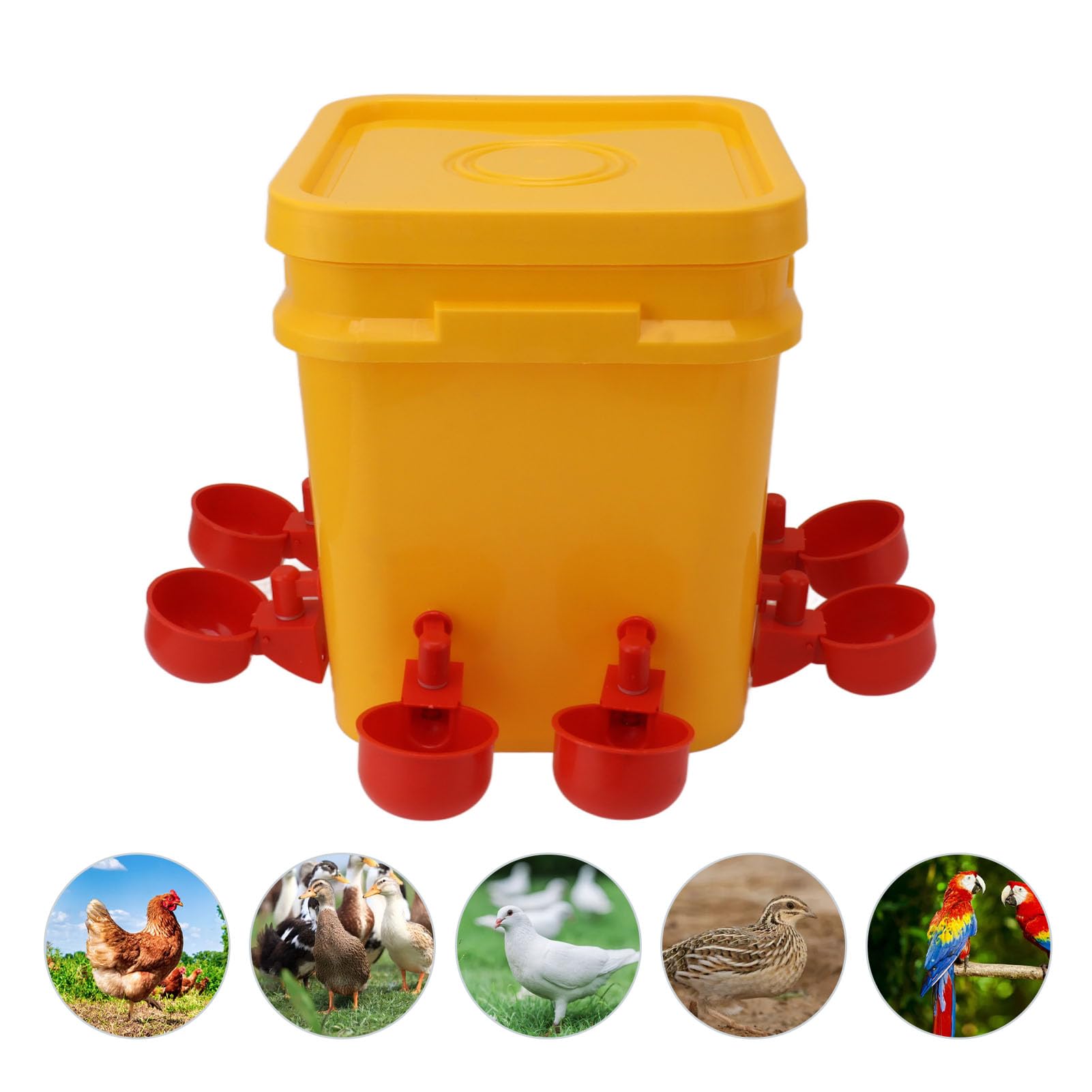 Bebedero Automático para Pollos, Equipo para Beber, Bebedero para Aves de Corral, Ganso, Pato, Barril, Taza para Cría de Pollos, Bebederos (Cubo + Tazón Azul Grande + Tornillos