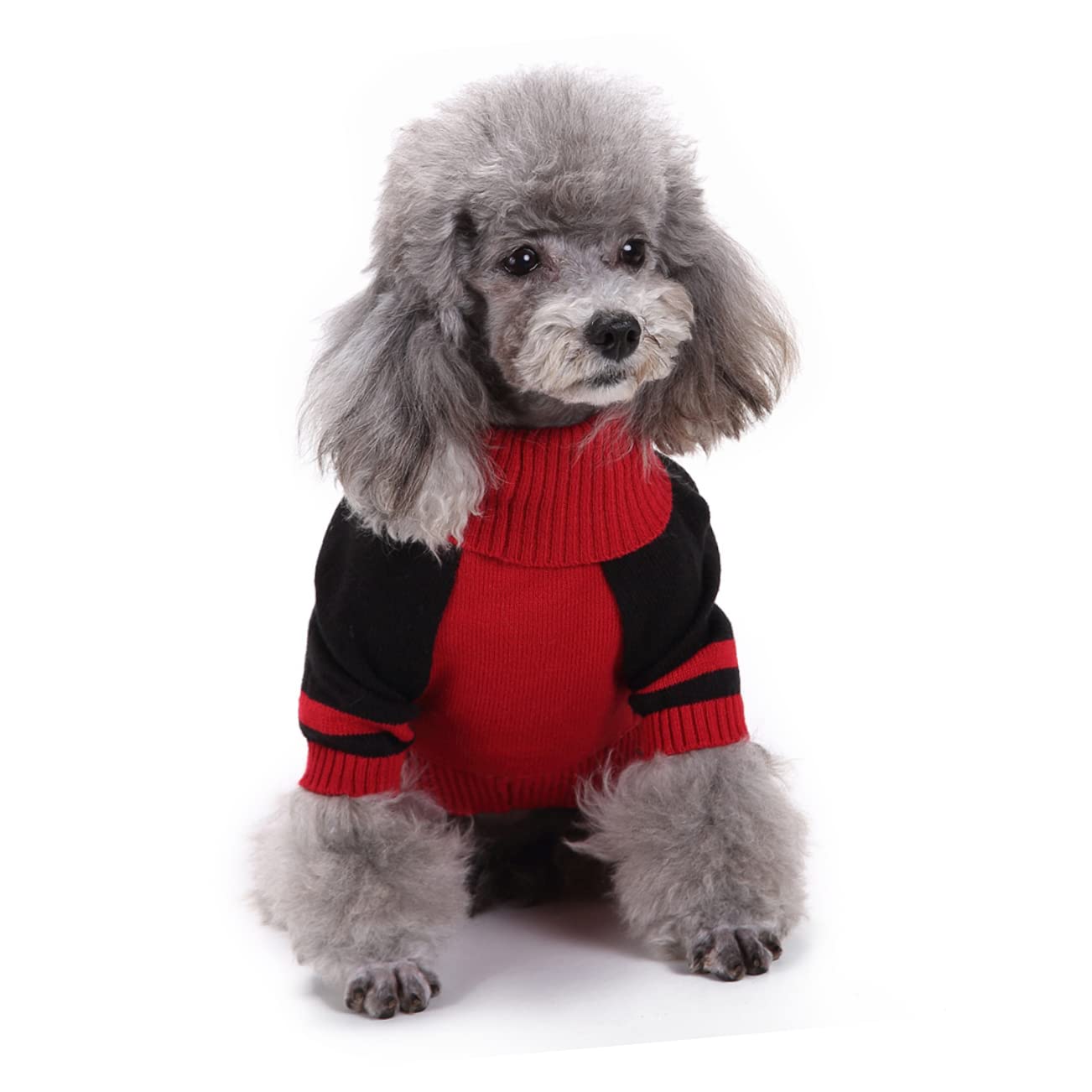 BESPORTBLE 3 Pezzi Costumi Di Halloween Per Cani Costume Da Teschio Di Cane Costumi Per Cani Di Halloween Per Di Zucca Per Per Animali Domestici