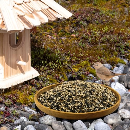Lyra Pet® 25 kg Sonnenblumenkerne Mix | Geschälte & ungeschälte Kerne | Fettreiches Vogelfutter für Wildvögel | Nährstoffreiches Wildvogelfutter | Energiespendendes Streufutter für Vögel