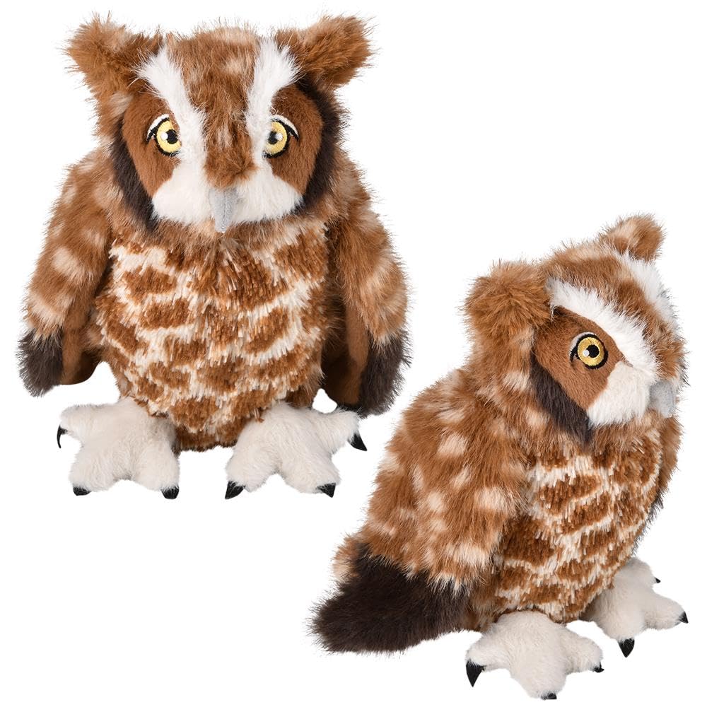 Amazon.com: Rhode Island Novelty 8