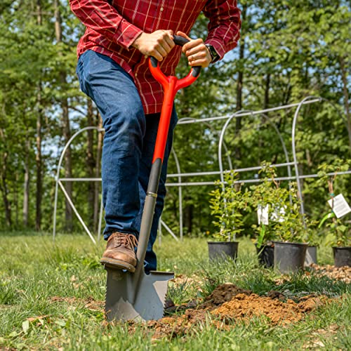 Radius Garden 22211, Root Slayer Round Head Shovel, Red by Root Slayer - Image 7