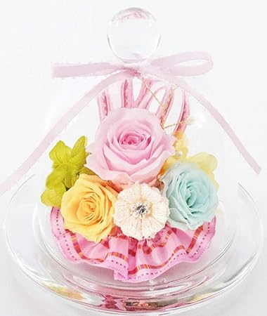 Amazon Amazon Co Jp 限定 Nichiflro ニチフロ プリザーブドフラワー 成人式お祝い 卒業祝い 卒園記念 入学祝い バレンタイン ホワイトデー プレゼント お祝い 長持ち 枯れない花 母の日 敬老の日 ニチフロガラスドーム パステル プリザーブドフラワー