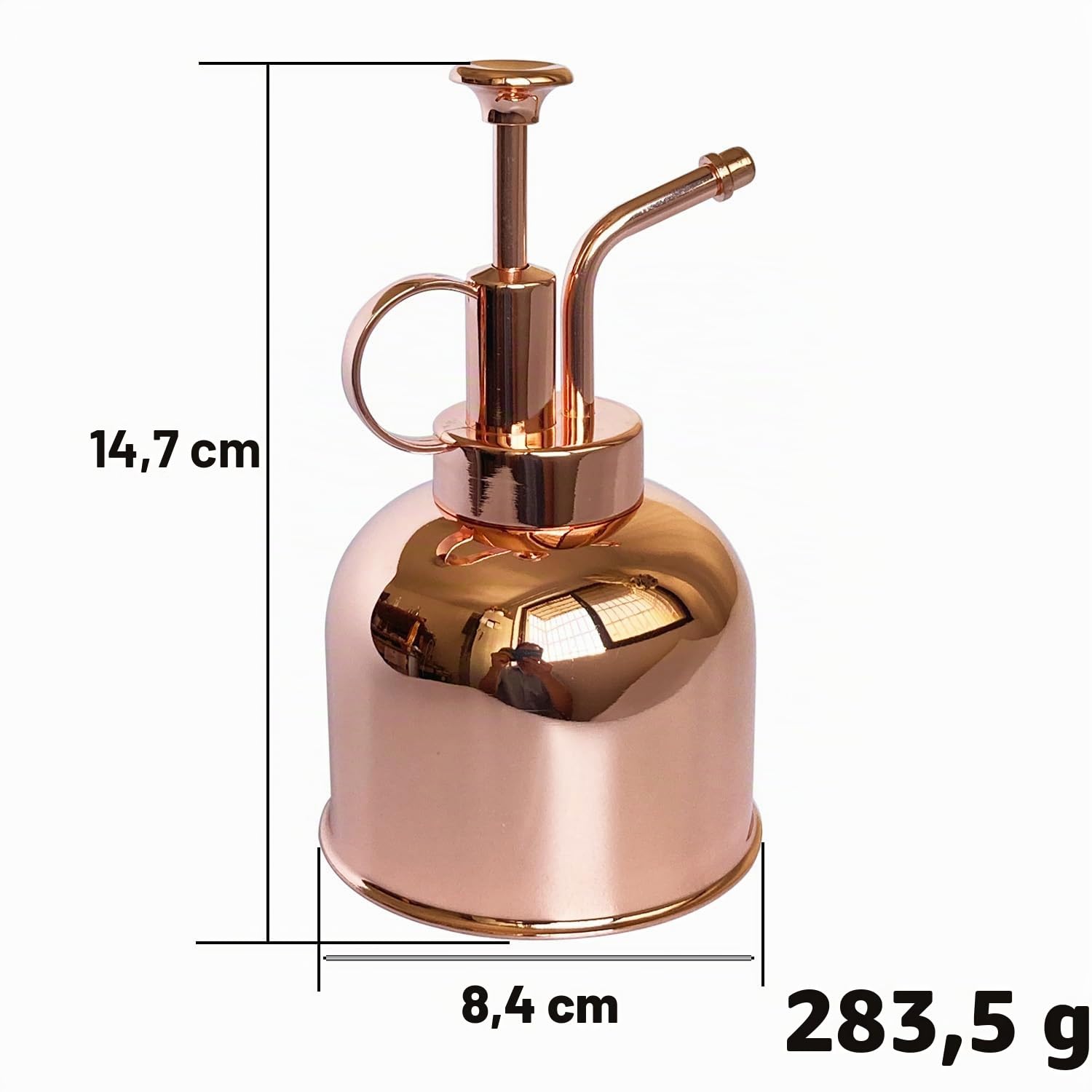 Flacon pulvérisateur en Acier Inoxydable pour Plantes-Petit arrosoir-Outils de Jardinage Modernes pour Plantes en Pot d'intérieur-Arrosage et pulvérisation (Or Rose, 0.3L)