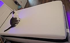 Review Image by Customer Review