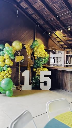 FANPROMS Deckenvorhänge Für Hochzeiten – 2 Paneele, Dunkelgrün, Je 1,52x6 M, Aus Transparentem Voile-Chiffon, Für Bögen & Hintergründe