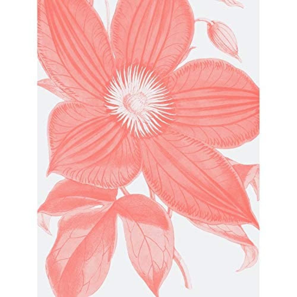 Wee Blue Coo Living Coral Clematis Flower Unframed Wall Art Print Poster Home Decor Premium
