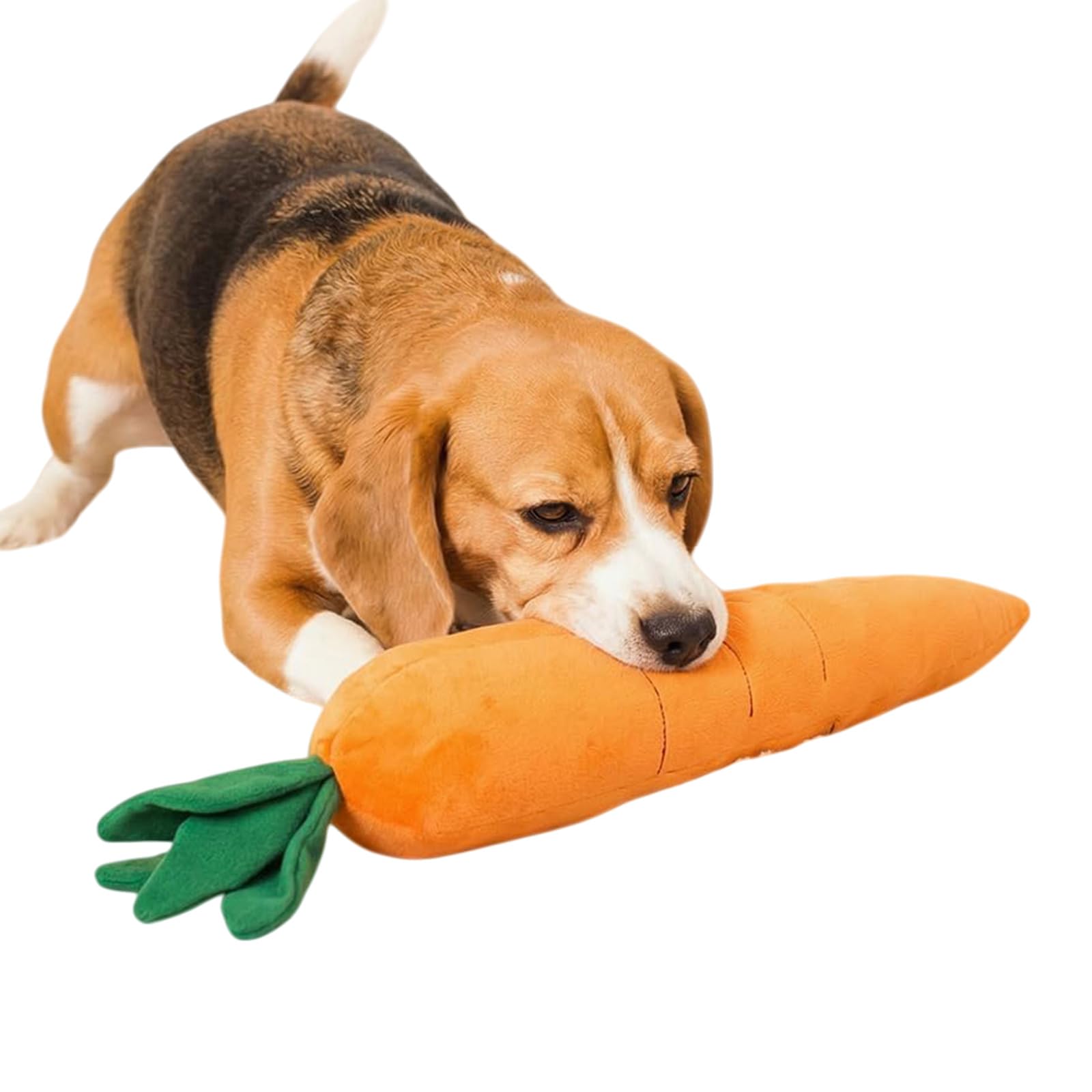 Rieseinsatz für Hund - Riesiger Karotten-Spielzeug, 5er Set quietschendes Plüschspielzeug für kleine, mittlere und große Hunde, Indoor und Outdoor, Beruhigungssspielzeug mit