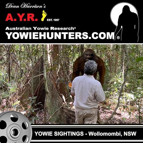 『Yowie Sighting at Wollomombi, New South Wales - 1993』のカバーアート