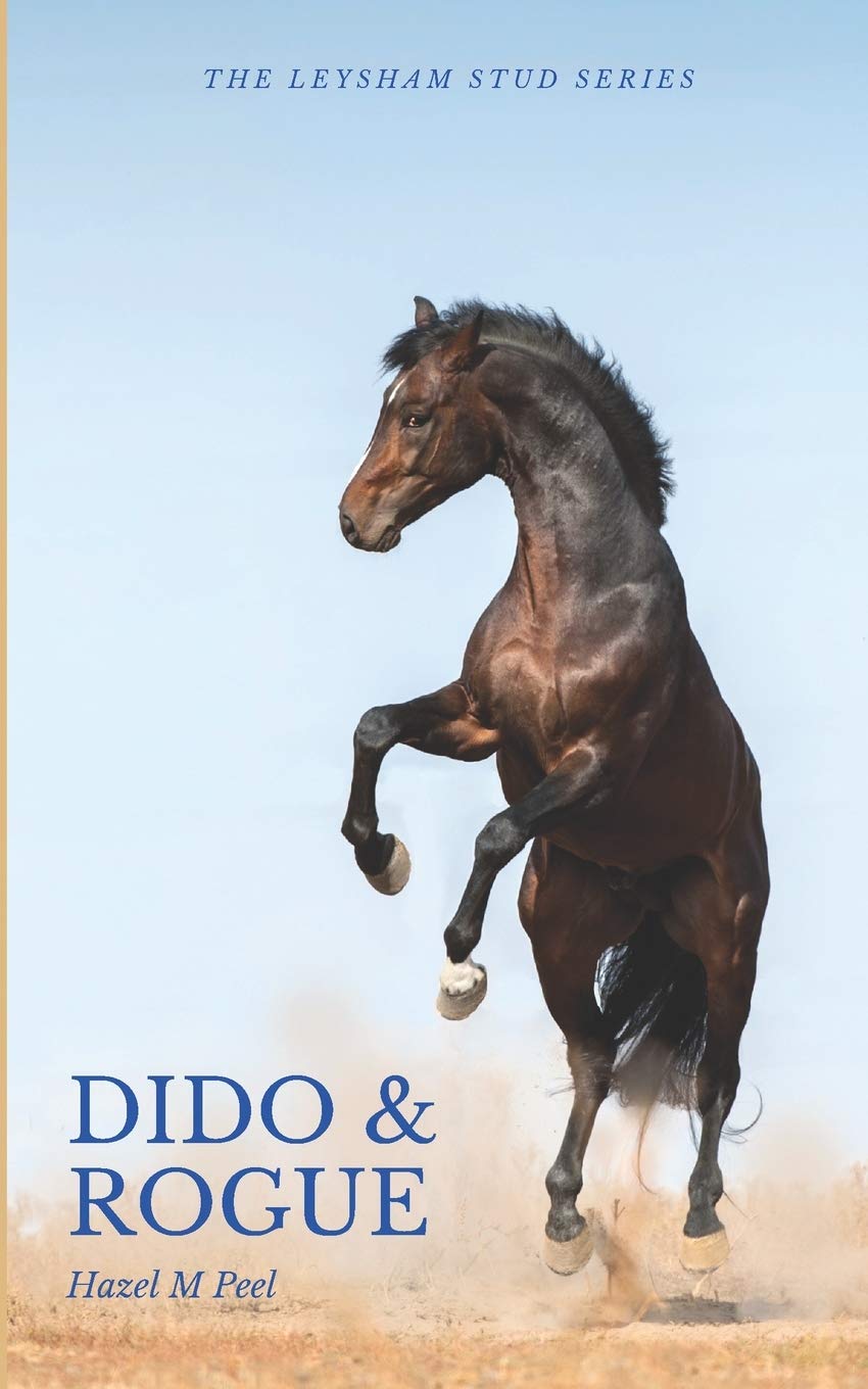 Jane Badger Books Dido and Rogue