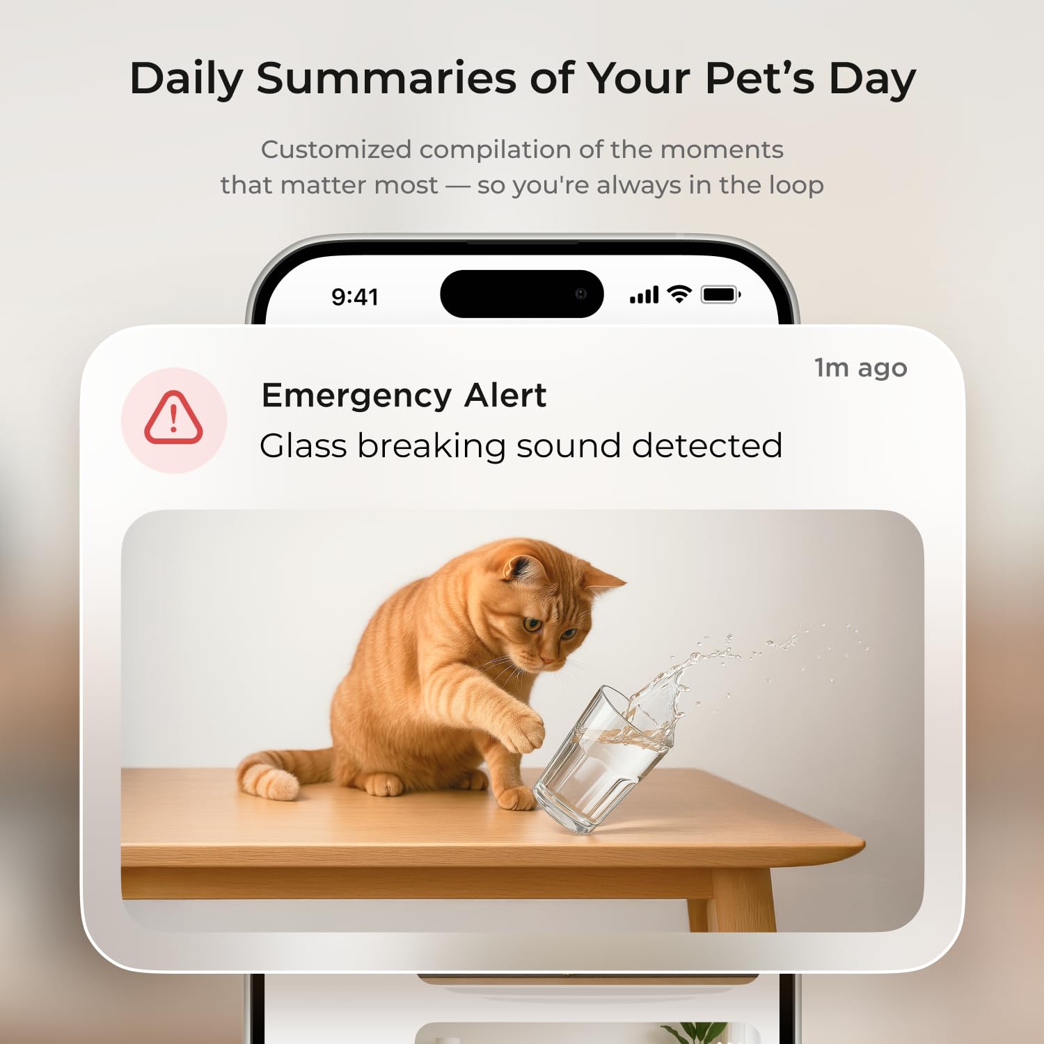 Petcube Cámara 360 | Cámara WiFi interactiva definitiva para mascotas y hogar con aplicación de teléfono, video HD de 1080p, rotación de 360°, visión nocturna, audio bidireccional, alertas