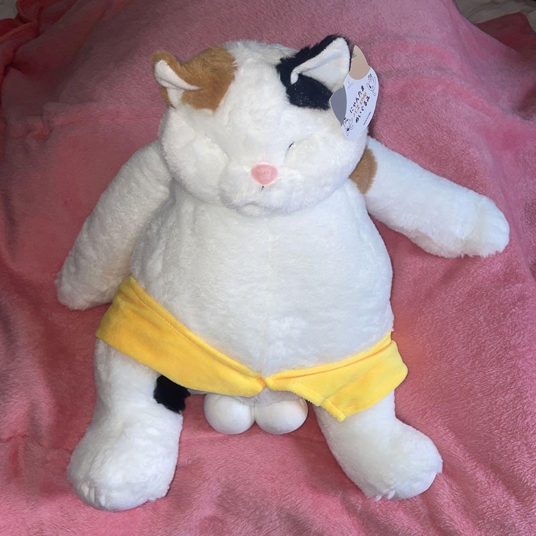 Amazon.co.jp: にゃんたま バスsle ぬいぐるみ 三毛猫 : おもちゃ