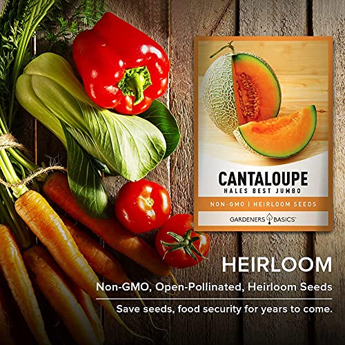 Cantaloupe Seeds For Planting - Hales Best Jumbo Heirloom, Non-Gmo Vegetable Variety- 1 Gram Approx 45 Seeds Great For Summer Melon Gardens By Gardeners Basics #TOP6