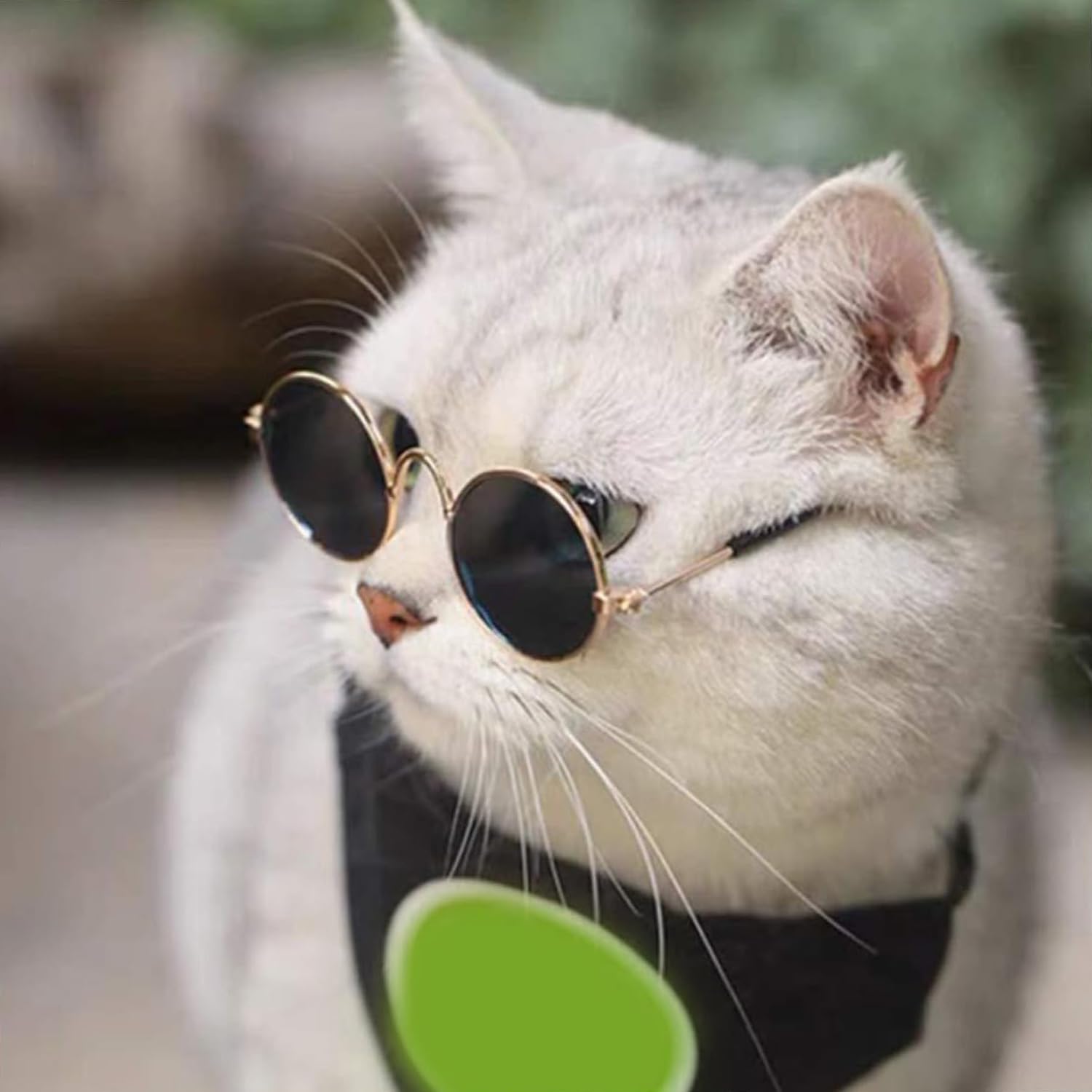 Occhiali Sole Per Cani Occhiali Da Sole Retrò Per Cani E Gatti - Main Image