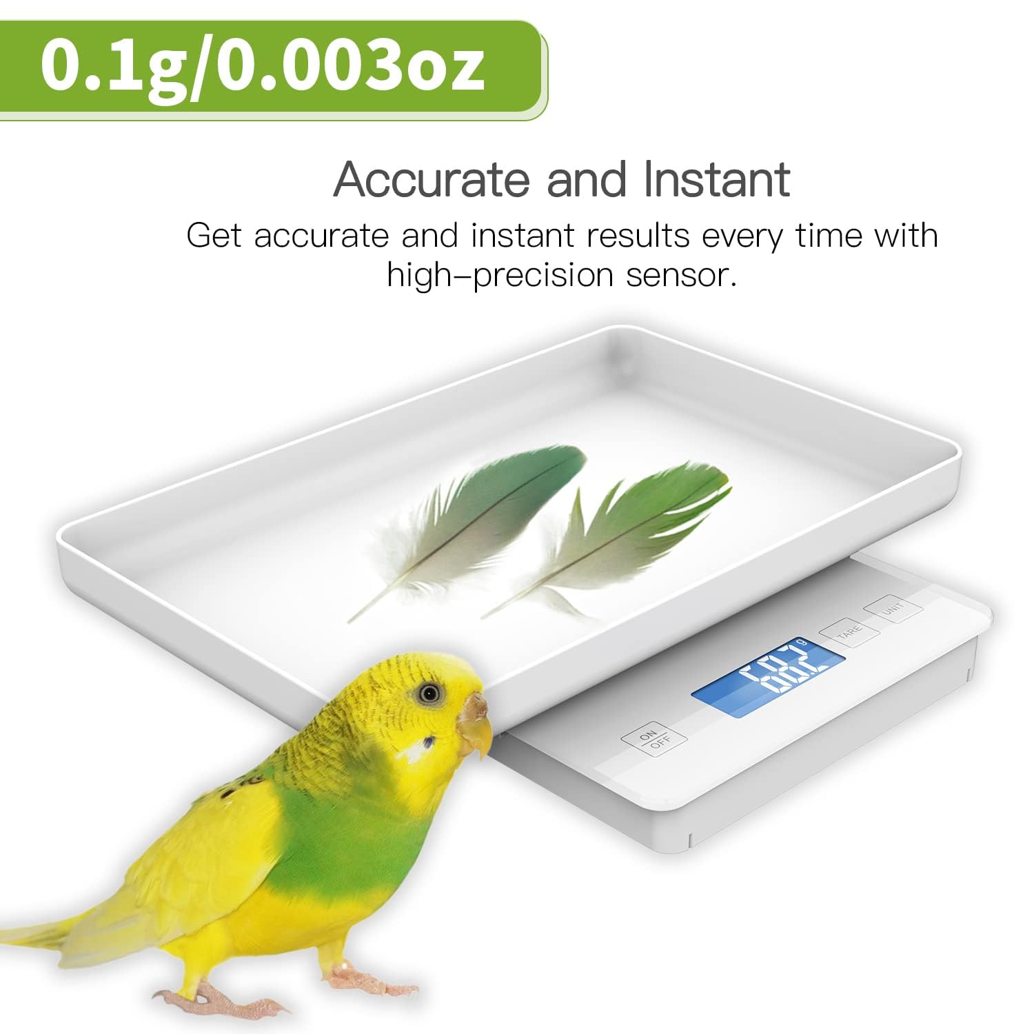 Báscula para mascotas MINDPET-MED de 11 lb/0.1 g para animales pequeños, reptiles, alta precisión (0.1 g), ideal para gatos, tortugas, pollitos, pájaros, monedas, polvo y repostería. Blanca.