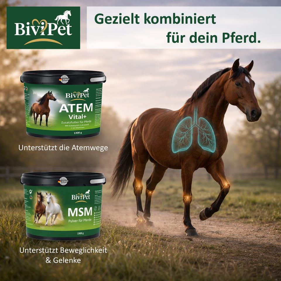 Atem Vital+ für Pferde – bei Husten & Belastung – 1,3 kg – mit natürlichem Eukalyptol & 12 Vitaminen – Atemwege & Bronchien Unterstützung – inkl. Dosierlöffel & Eimer mit Henkel