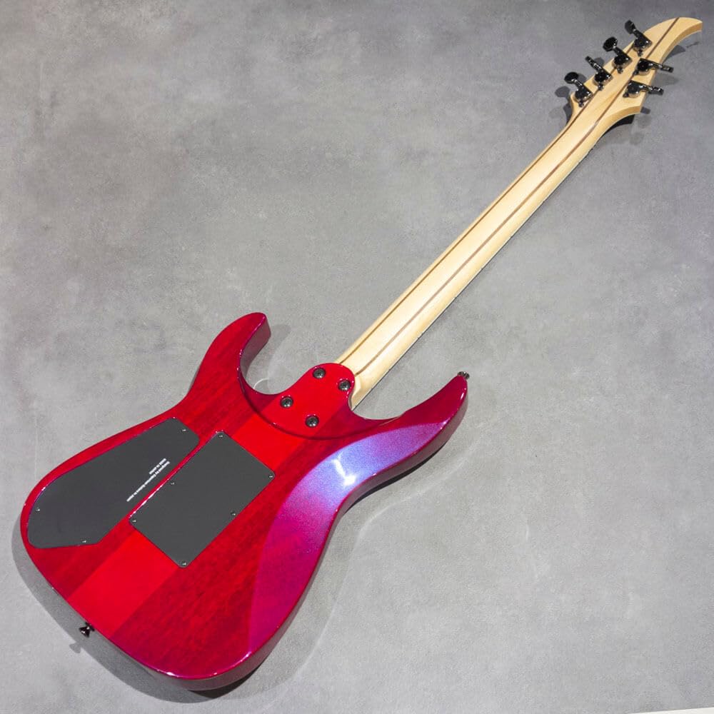 ギター caparison dellinger prominence trans. Amazon | Caparison Guitars Dellinger Prominence EF Trans
