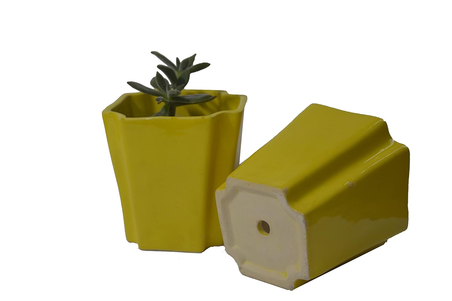 Tiny Green Corner Yellow Ceramic Pot for Plants (Ceramic Plant pots+