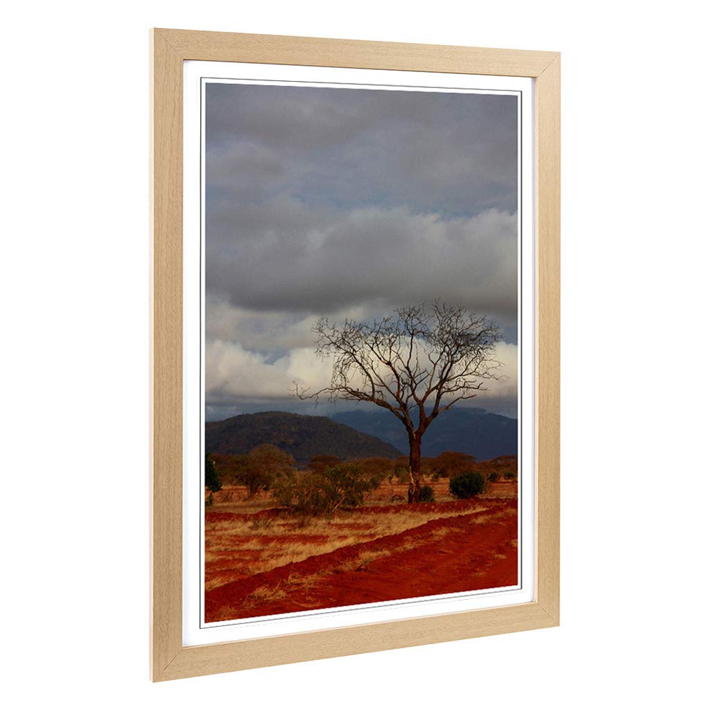 Big Box Art Framed Print of Safari Kenya Africa Landscape Design | Wall Art Picture | Home Decor for Kitchen, Living Room, Bedroom, Hallway, Oak, A2 / 24.5x18 Inch / 62x45cm