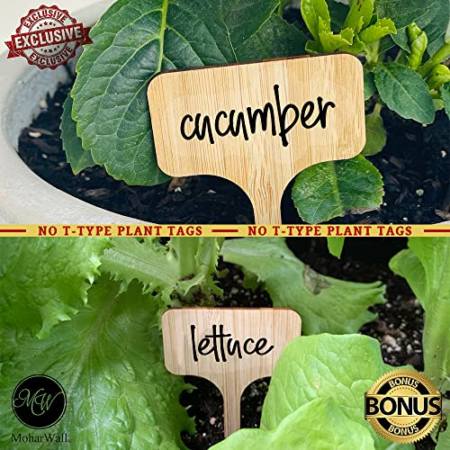 88 PCS Plant Labels , Nursery Garden Tags for Pots - Seed & Plant Markers Vegetable Fruit Organization Labels for Indoor/Outdoor(No Labels , Only Stickers)