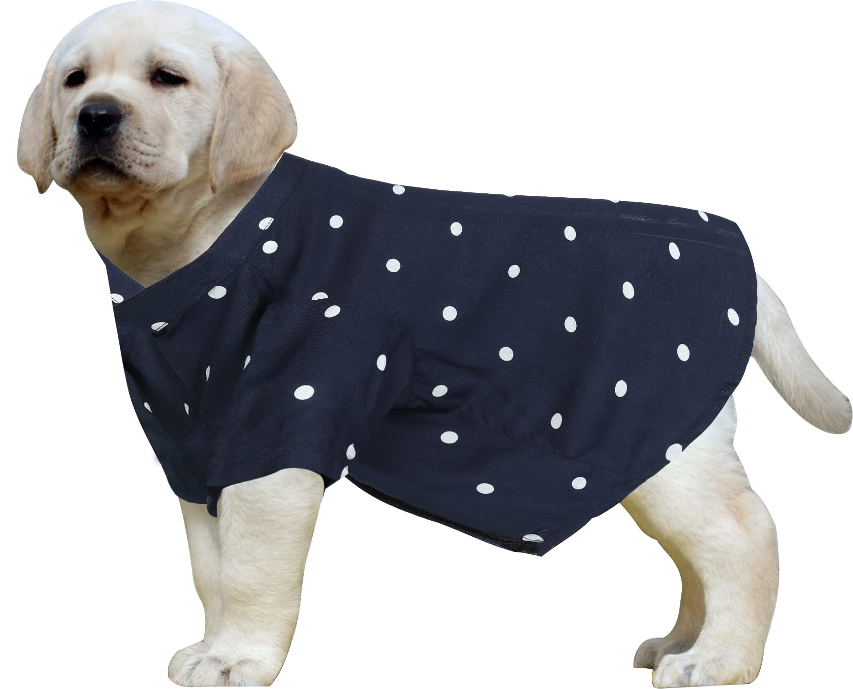 Western Era Super Soft Trendy Printed Shirt, Ultra Comfort Dog Apparel, Cotton Printed Breathable Basic Vest Dog Shirt, Cute Lightweight Thin Shirt for Your Furries (Small - 14 inch) (Polka Blue) (B0B6V38DL4) Amazon Price History, Amazon Price Tracker