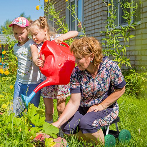Pure Garden 82-VY021 Garden Cart Scooter with Seat, 17.5x19, Midnight Pure Garden 82-VY021 Garden Cart Scooter with Seat, 17.5x19, Midnight