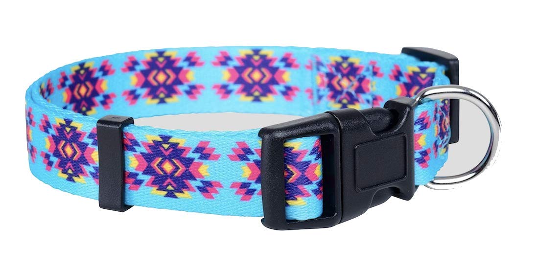 Aztec Dog Collar- Tribal Dog Collar- Designer Dog Collar by Native Pup (Small, Turquoise)