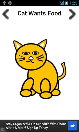 Cat Sounds Ultra – vue 5