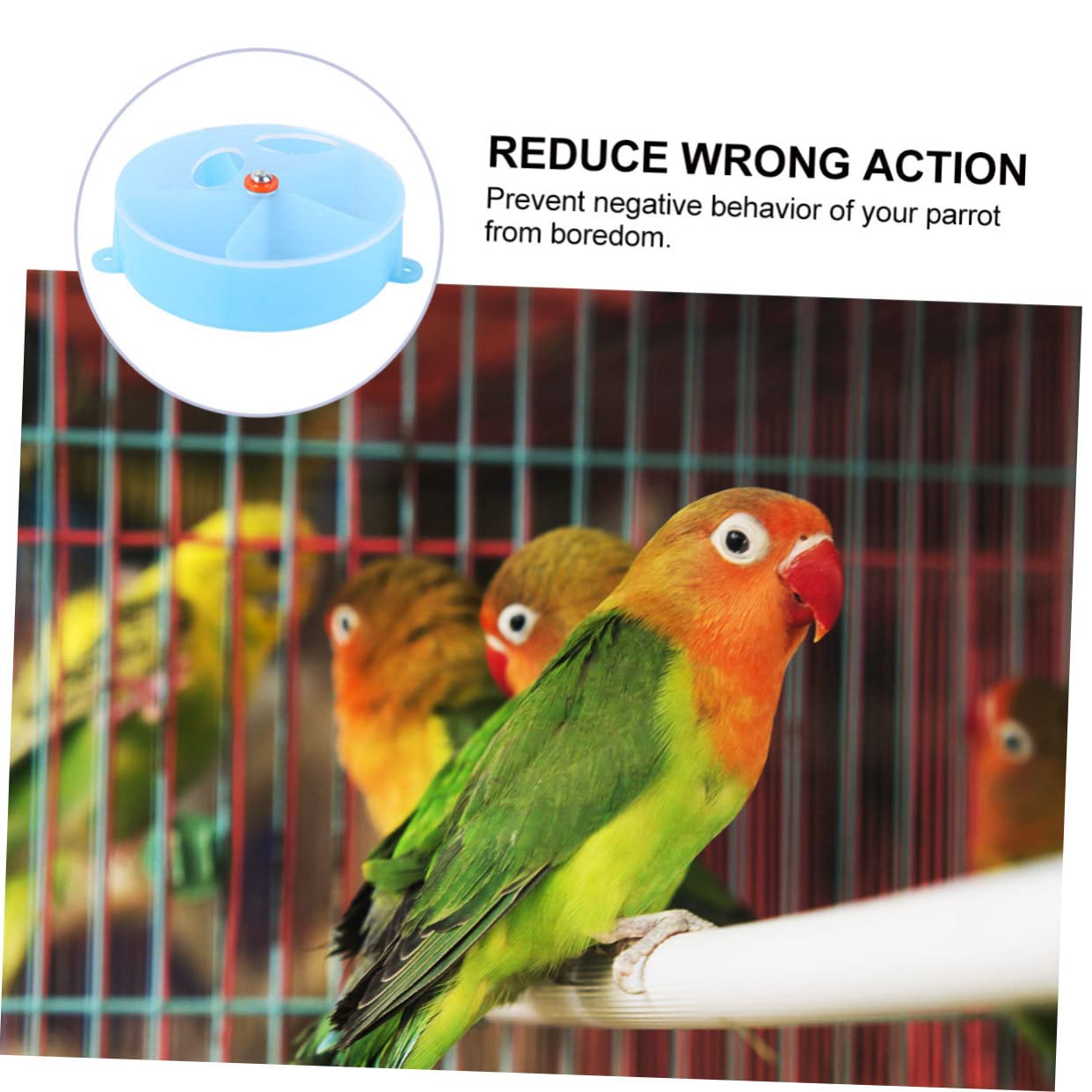 Beaupretty 3pièces Distributeur Interactif pour Oiseaux Jouet à Mâcher pour Perroquets Boîte De Foraging Forme De Roue Bleu pour Cockatiels Et Conures