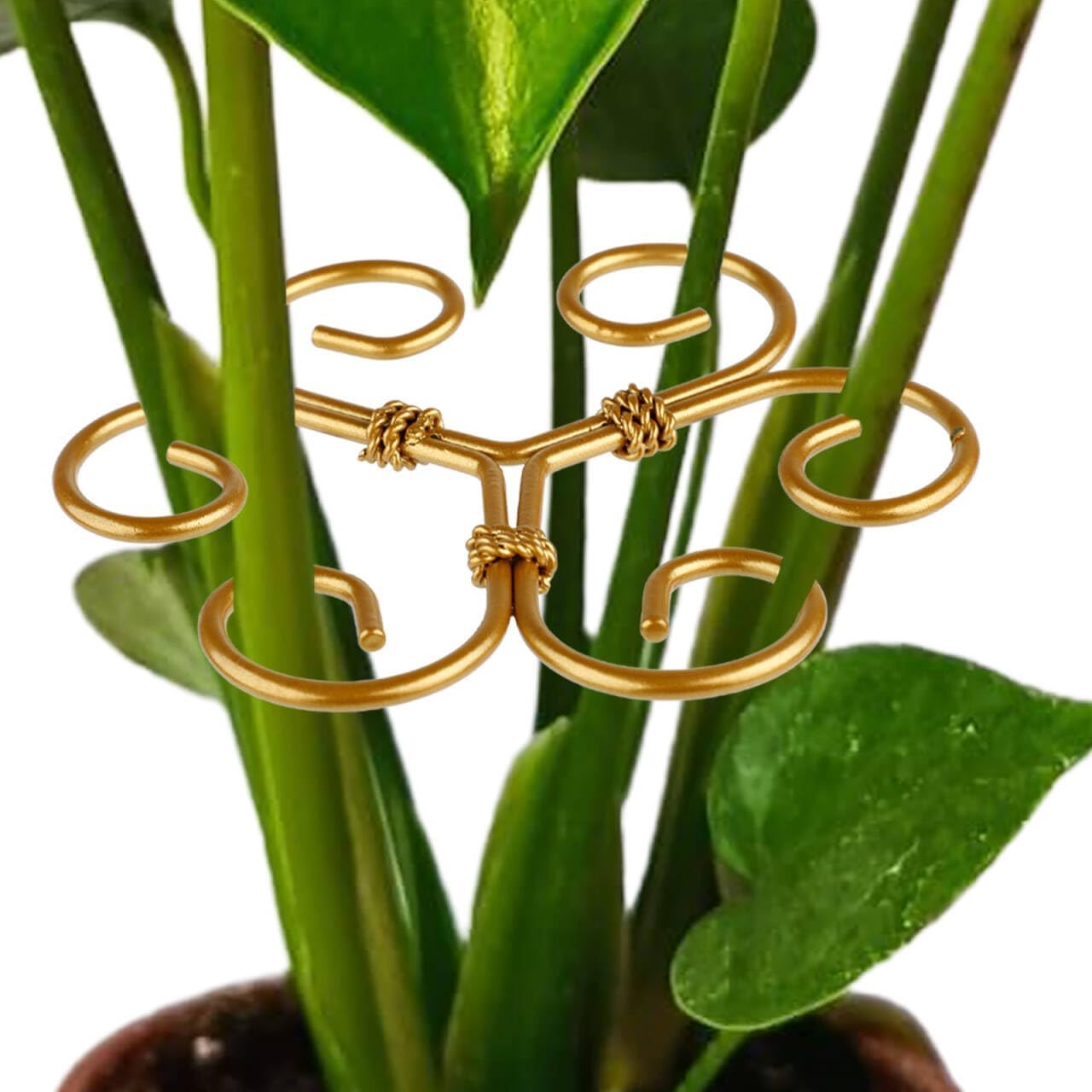 4PCS Iron Monstera Support, Durable Plant Stem Support Stakes for Indoor Outdoor Plants, Uniquely Designed Bamboo Clamp Set for Thriving Climbing Plants Stabilization (Heart-Shaped)